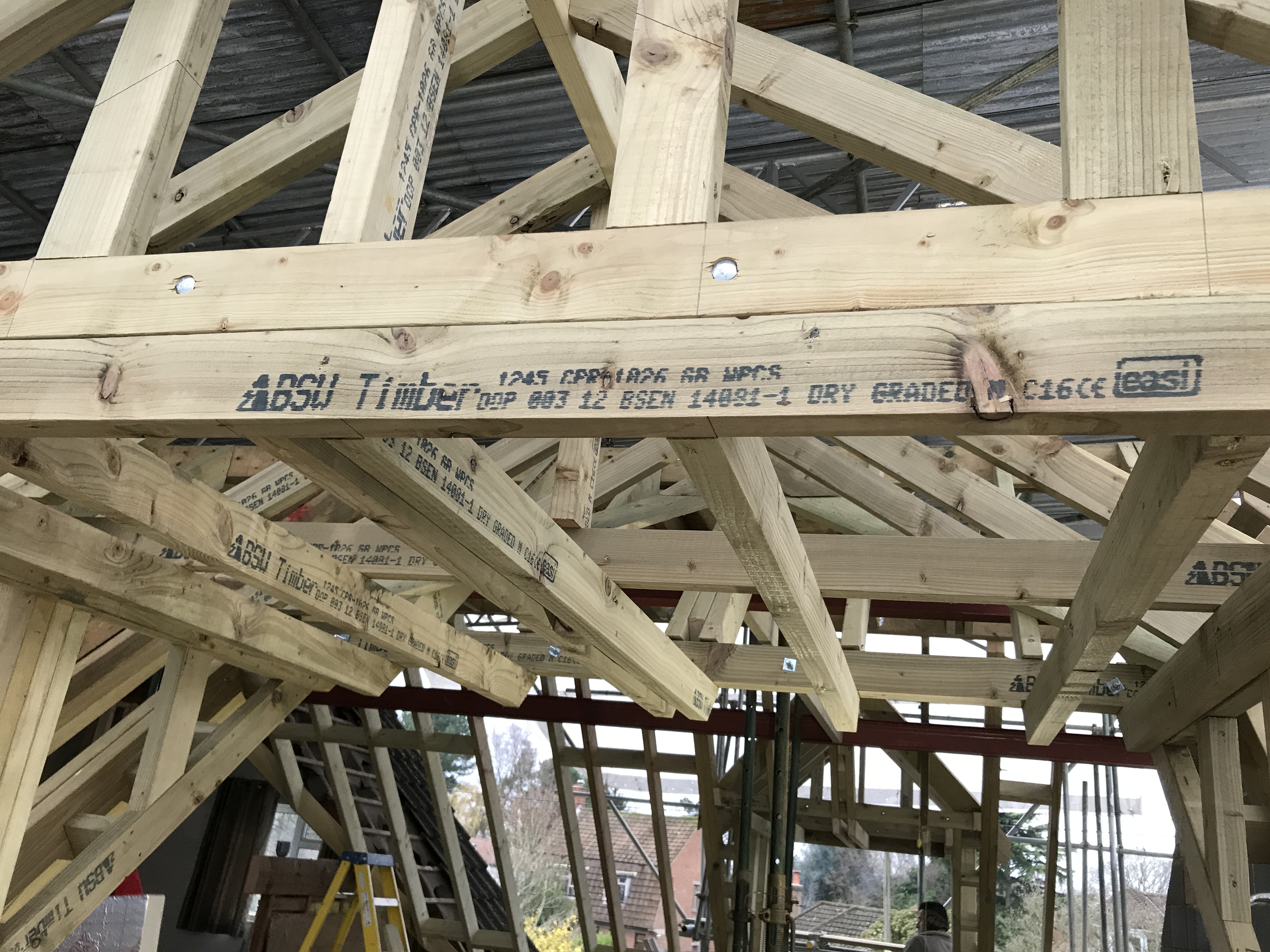 DNL Construct project